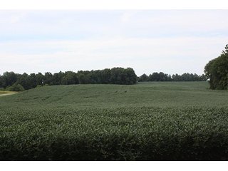 Property photo 6 - REAL ESATE AUCTION-128.4+/- ACRES OFFERED IN 6 TRACTS IN SPENCER COUNTY
